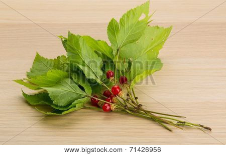 Stone Bramble
