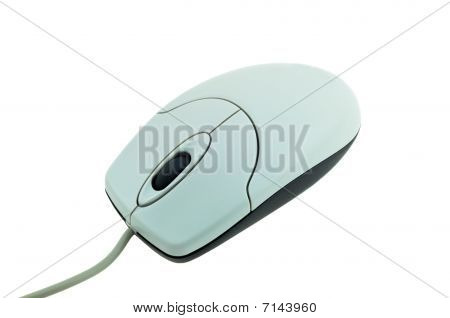 Computer Mouse