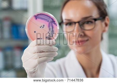 Woman Experimenting With Microbacteria