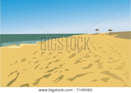 ein Meer ist ein Strand und zwei Pilze