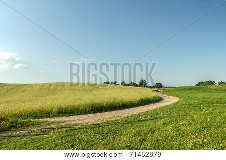 Side Of The Road