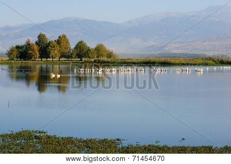 Agamon Hula Bird Refuge