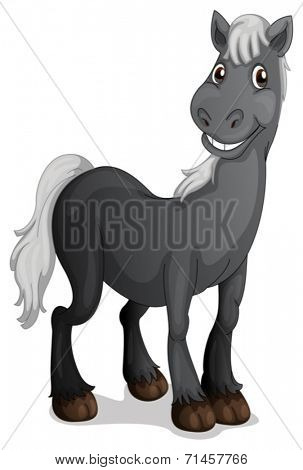 Illustration of a smiling black horse on a white background