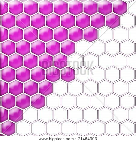 Glass Cells Purple White. Isolated