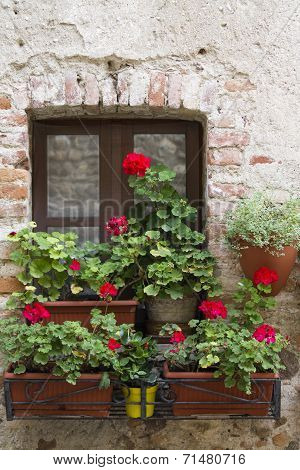 Flowered Balcony