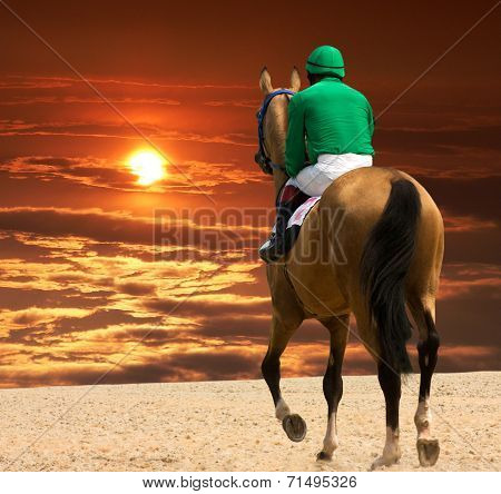 Jockey and Horse