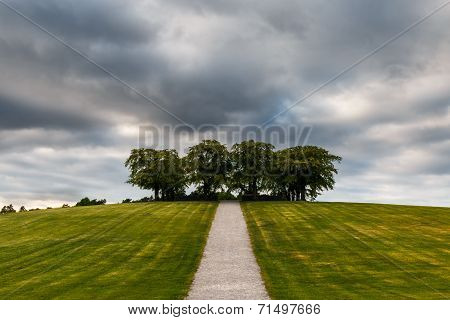 Elm grove