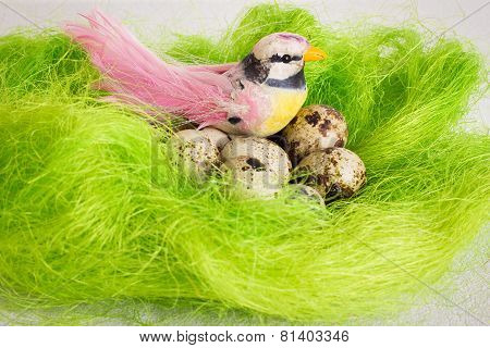 A little bird sitting in a nest with Easter quail eggs on a white background