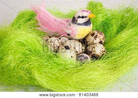 A little bird sitting in a nest with Easter quail eggs on a white background