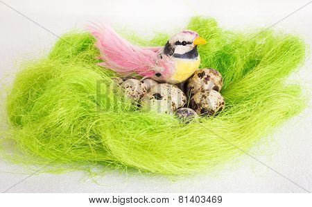 A little bird sitting in a nest with Easter quail eggs on a white background