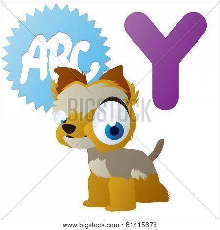 animal abc learning for kids: Y is for cute little Yorkshire Terrier , vector illustration set for children, bright colors for flash card game