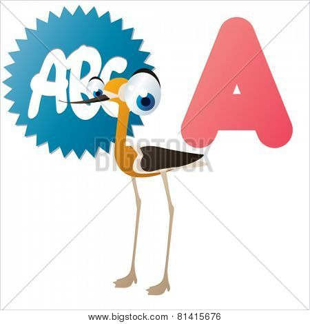 animal abc learning for kids: A is for cute little Avocet, vector illustration set for children, bright colors for flash card game
