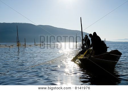 Trap Fishing