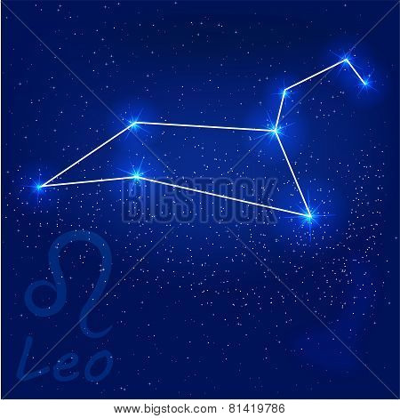 Constellation leo