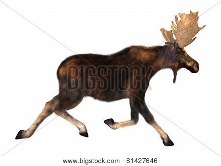 Running Moose
