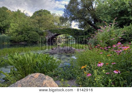 Central Park en début de matinée