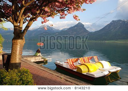 romantici pedalò