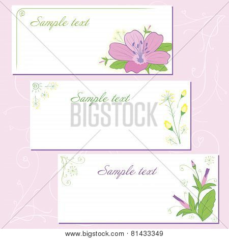 Postcard with wild flower