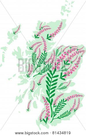 Vector Image Map Of Scotland With Heather Flowers.eps