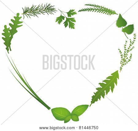 Culinary Herbs Heart