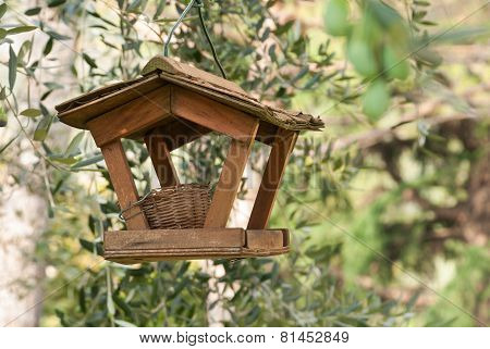 bird nest and feeder
