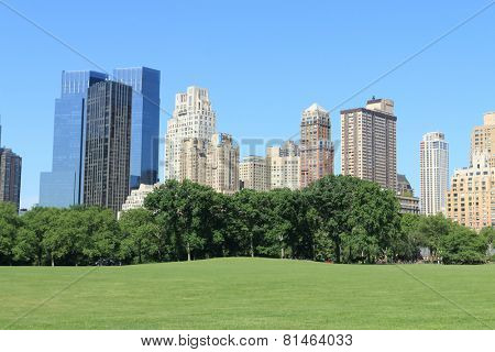 Central Park and Manhattan skyline at spring time, New York City