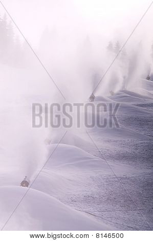 스노우 블로어