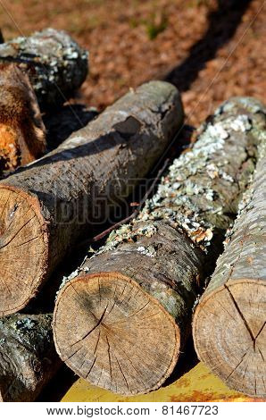 Woodpile