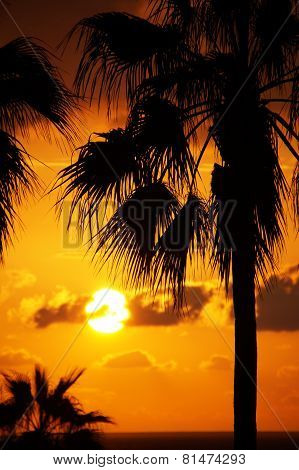 Sunset by the sea