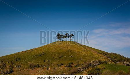 Colmer's Hill In Dorset, England