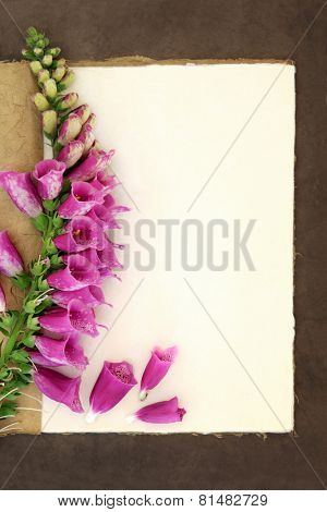Foxglove flower border on a natural hemp notebook and brown paper background. Digitalis pupurea.