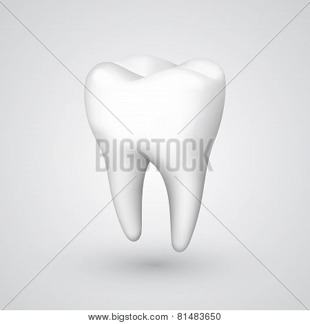 Vector tooth