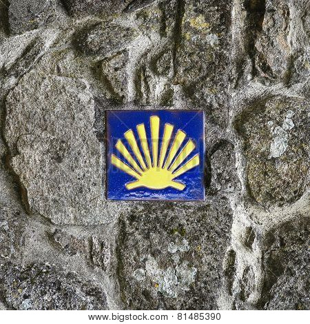 Pilgrim's Shell