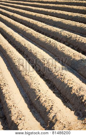 Furrows