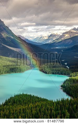 Scenic Mountain View Of Peyto Lake, Canadian Rockies