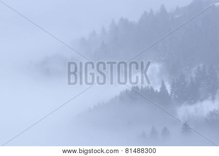 wonderful snowy and foggy  landscape  in the Hautes-Vosges, Lorraine, France
