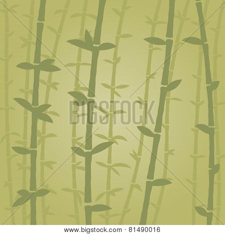 Bamboo