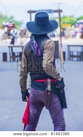 Tombstone Vigilante Days