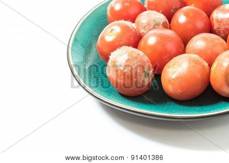 Moldy Tomatoes On A Plate Closeup