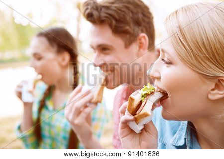 Young people eating sandwiches during picnic