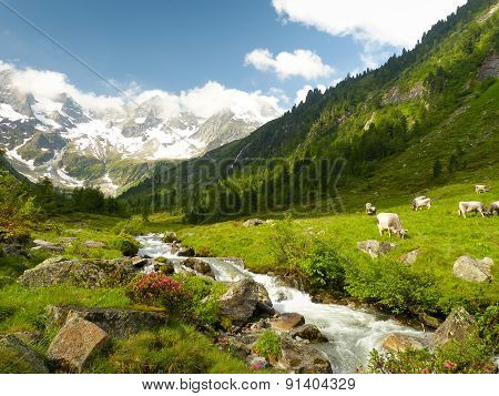 beautiful idyllic mountain scene