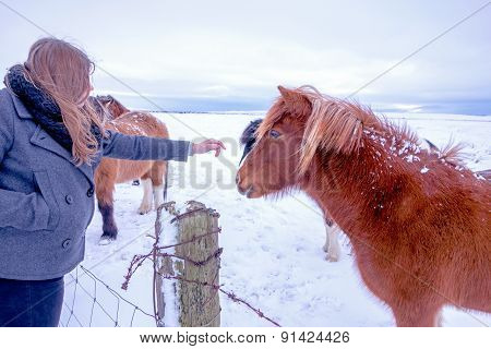Pony And Girl A Winter's Day