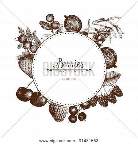 Vintage fruits illustration for eco food isolated on white