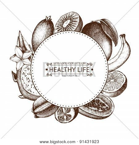 Vintage frame with tropical fruits illustration isolated on white