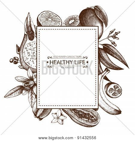 Vintage frame with tropical fruits illustration isolated on white.