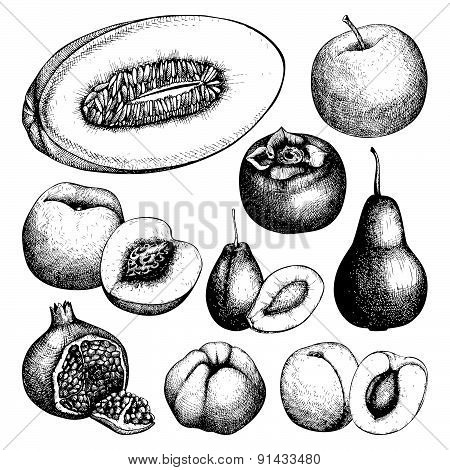 Vintage colorful fruit illustration for vegetarian food.