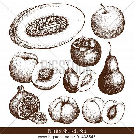 Vintage colorful fruit illustration for vegetarian food.