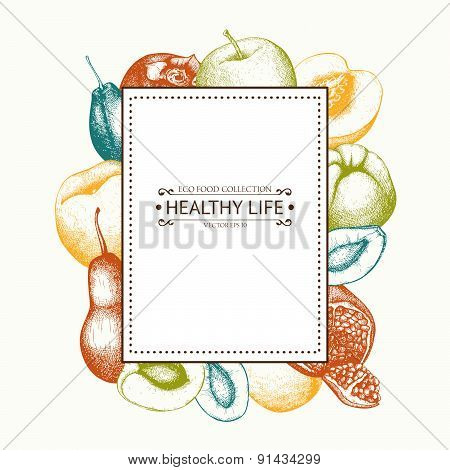 Vintage fruits illustration for eco food