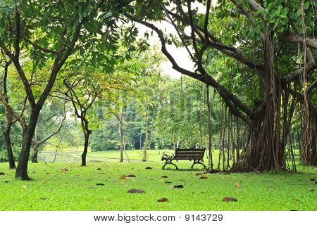 A zöld parkban egy padon