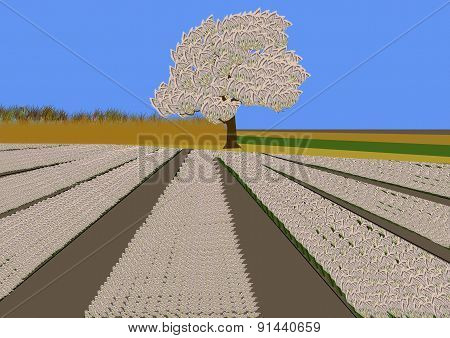 Money Tree And Field Of Money Flowers